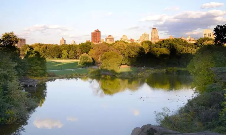 Enjoy 1 or 2 Hrs Pedicab Guided Central Park Tour for 1, 2 or 4 People