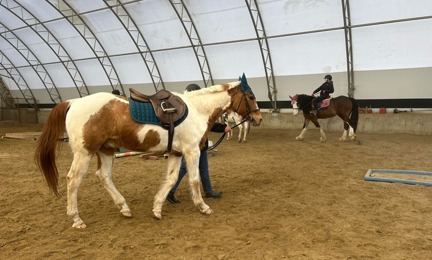 Image 2: Up to 42% Off Private Horseback Riding Lessons at Greene Acres