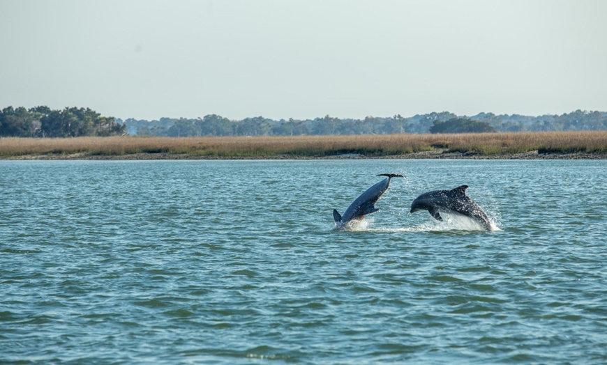 Image 4: Private Beachside Cookout Charter for Groups near Charleston