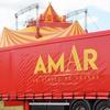 Image 4: Cirque Amar®, 100 ans d'émotions : le centenaire, de déc. à fev.