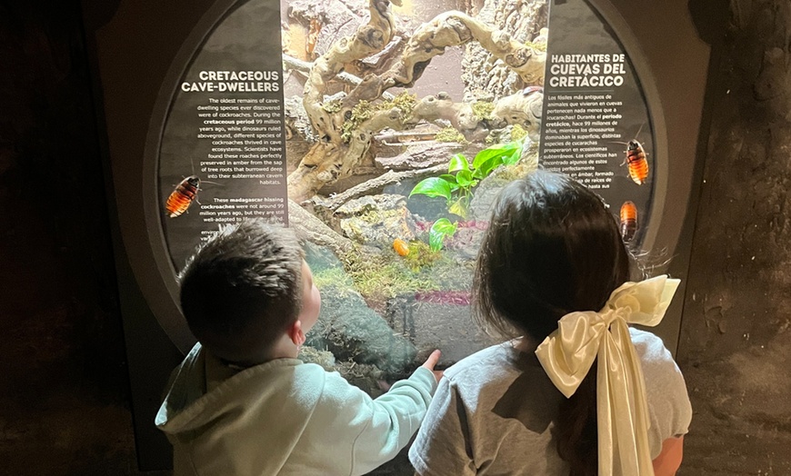 Image 7: ScienceWorks Memberships — Where Curiosity Comes to Life!