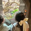 Image 7: ScienceWorks Memberships — Where Curiosity Comes to Life!