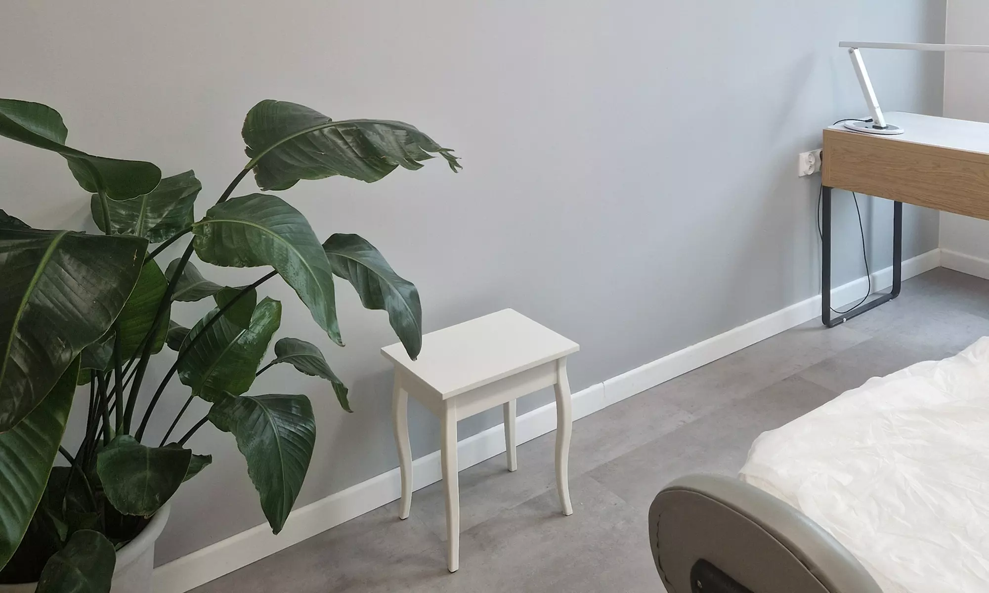 Pedicure spa lub pedcure kwasowy Callus w Nova Skin