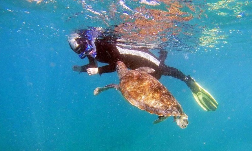 Image 1: Tour guiado de snorkel