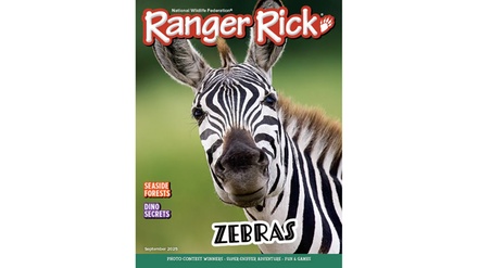 One-Year Subscription - Ranger Rick