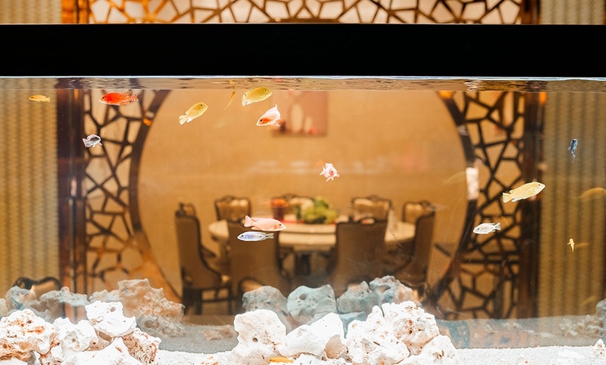 Image 7: Asiatisches Buffet All You Can Eat & Drink – mit Sushi, Grill und mehr