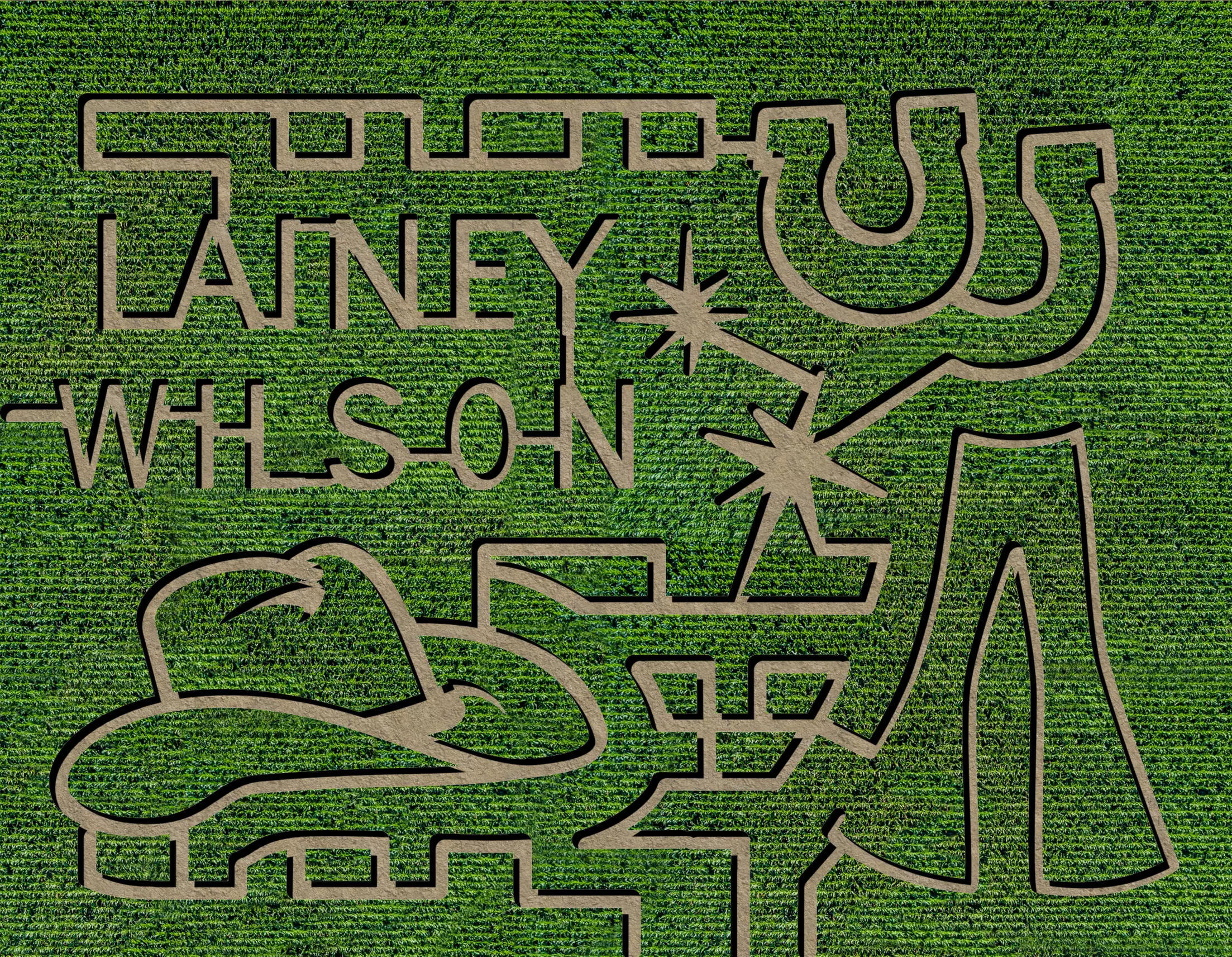 Corn Maze Fun for All - Unforgettable Day Out for Two or Four