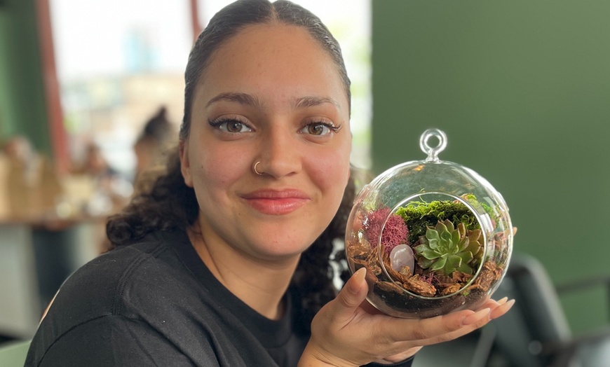 Image 2: Sunday Sips & Succulents: Craft a Unique Terrarium with Drinks 