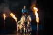 Enjoy a Wild West Adventure Show at Shepherd's of the Hills in Branson: June 1 - August 13, 2025 (Up to 43% Off) - Second Medium