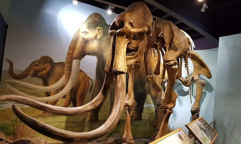 Entry to Shropshire Hills Through Time Exhibition!