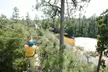 Soar Through the Trees on a 9-Zipline Course for 2-8 People at Adventures Unlimited (Up to 37% Off) - Second Medium