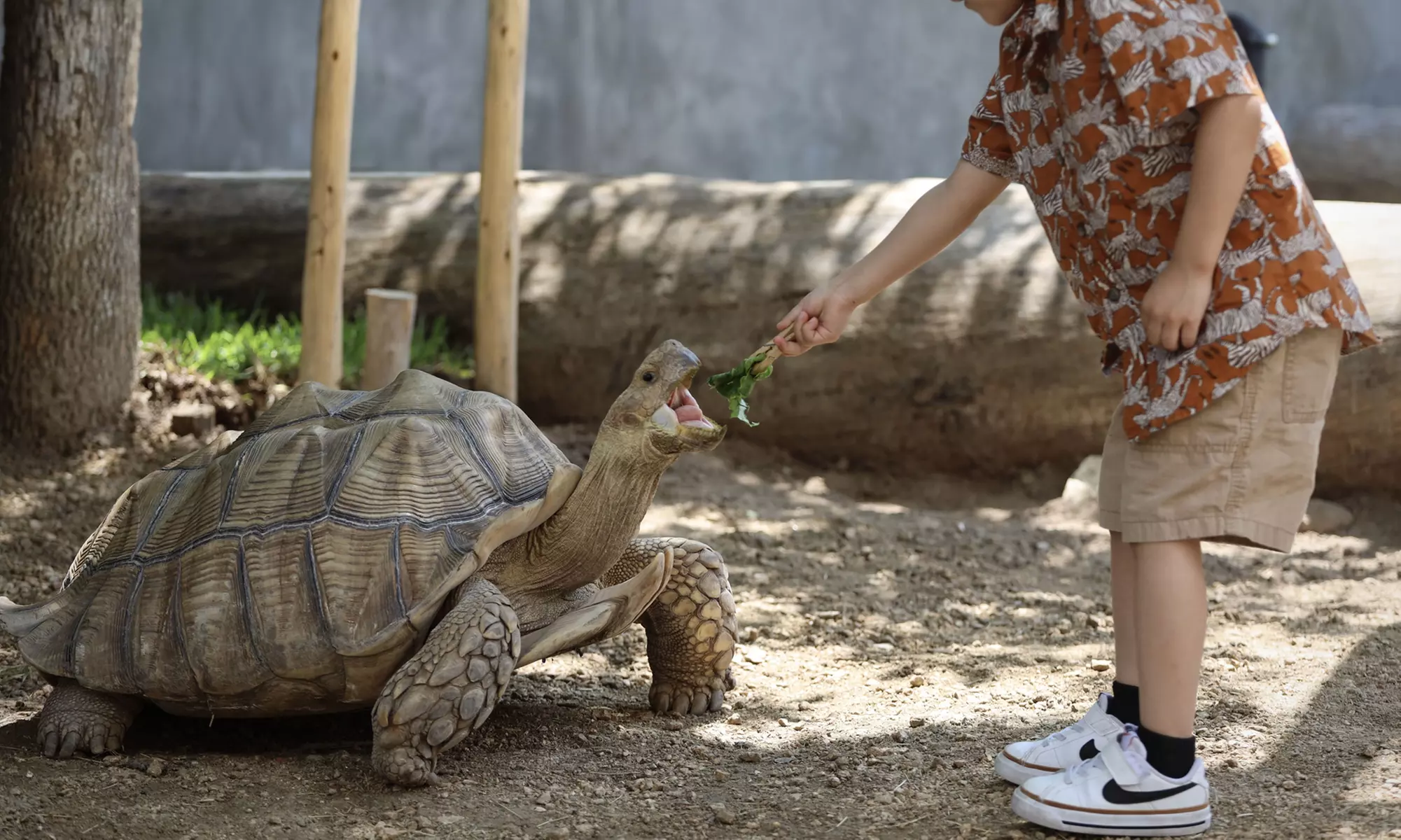 Admission to Houston Aquarium & Animal Adventure plus Arcade Credits!