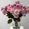 Image 6: Vibrant Floral Spray Roses Bouquets & Fresh Flowers from Rose Farmers 