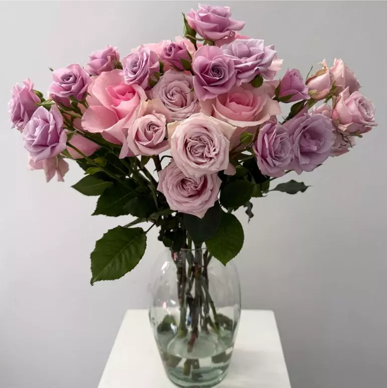Vibrant Floral Spray Roses Bouquets from Rose Farmers (Up to 49% Off)