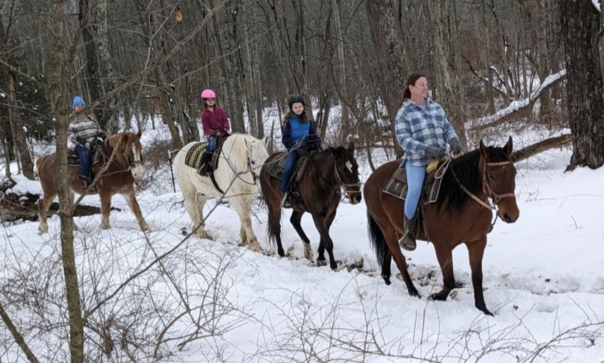 Image 3: Horseback Trail Ride Through Hudson Valley (45 Minutes)