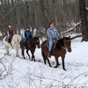Image 3: Horseback Trail Ride Through Hudson Valley (45 Minutes)