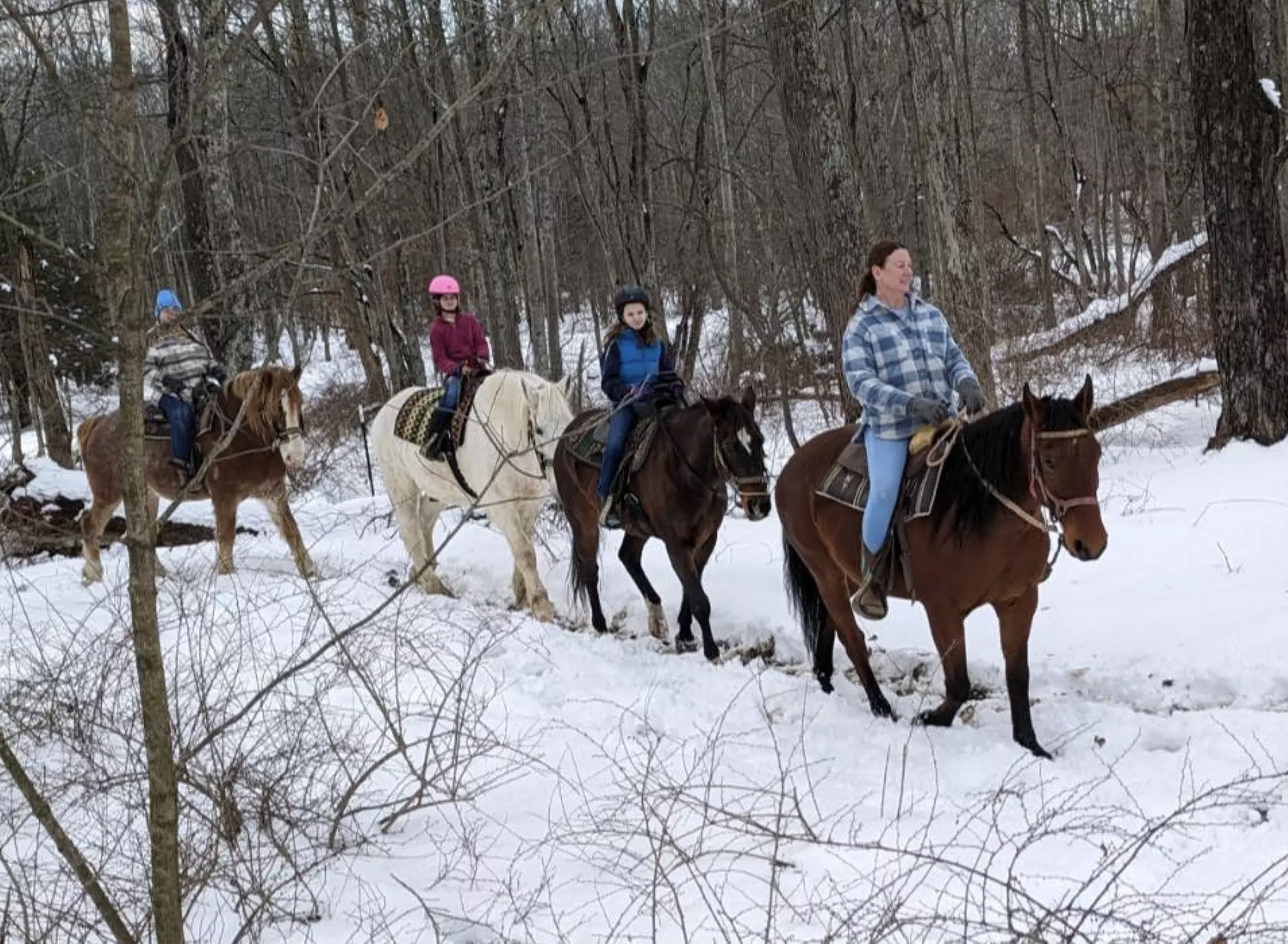 Snowy Horseback Trail Ride Through Hudson Valley (45 Minutes)