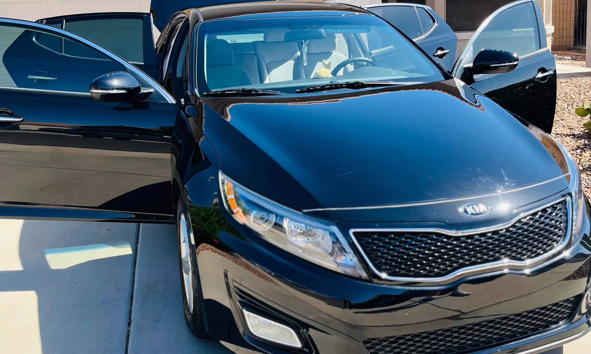 Exterior and Interior Detail for a Car/Sedan/Pickup/SUV or Minivan