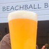 Image 1: Dive into Beer Flight and Pint for One, Two, or Four