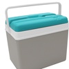 Image 13: Insulated Cooler Ice Box and Optional Ice Blocks 15L, 24L, 35L
