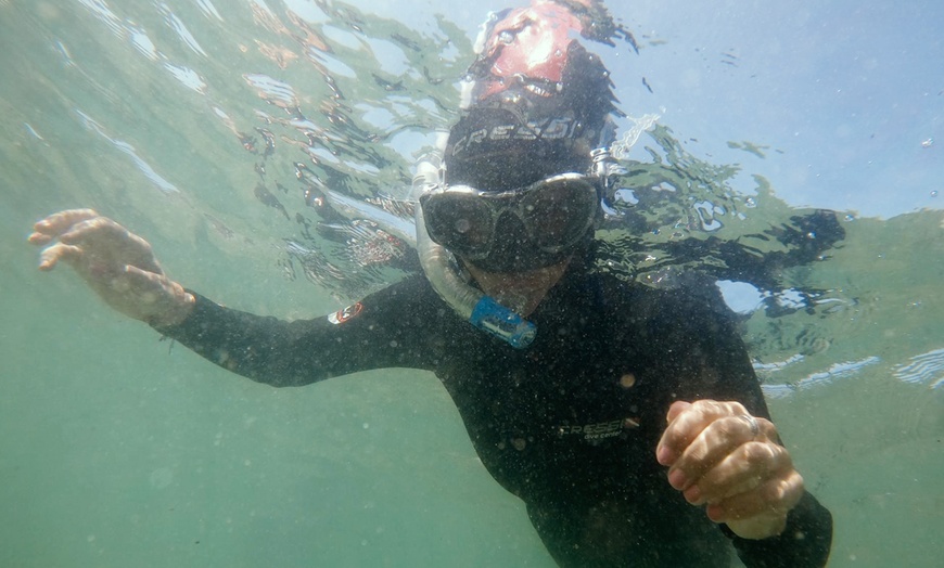 Image 2: Excursión en catamarán: 3 horas con comida y bebida para niño o adulto