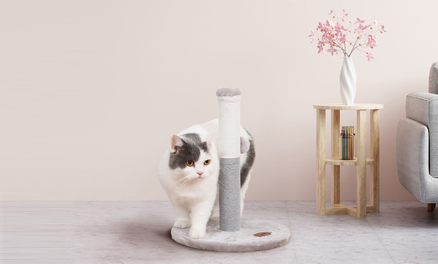Image 61: Griffoir pour chat
