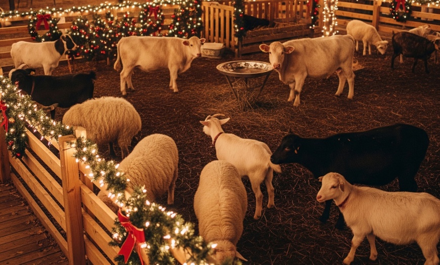 Image 7: Up to 16% Off Admission to Night Of Lights At Heritage Park 