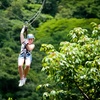 Image 12: ✈ 8-Day Tour of Costa Rica with Air from Great Value Vacations