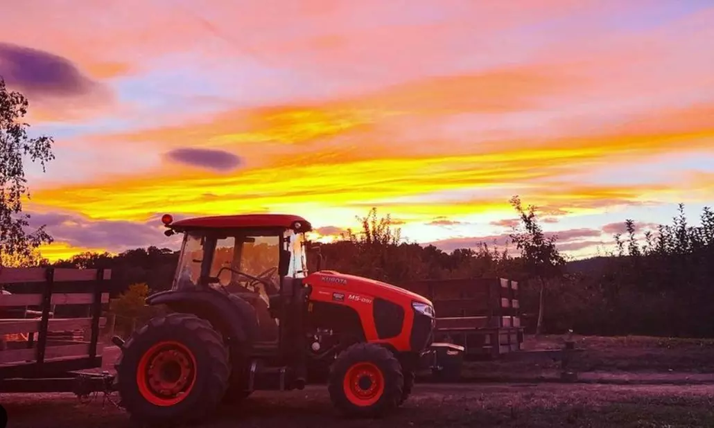 Farmtastic Day to Pick Your Own Pumpkins, Solo or Family of 1-4 People