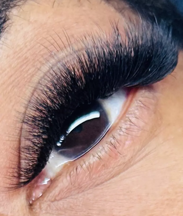 Classic, Hybrid, or Volume Lash Set with Optional Refills