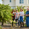 Image 2: Wine Tasting w/ Chocolate Pairing for Two or Four w/ or w/o Bottle