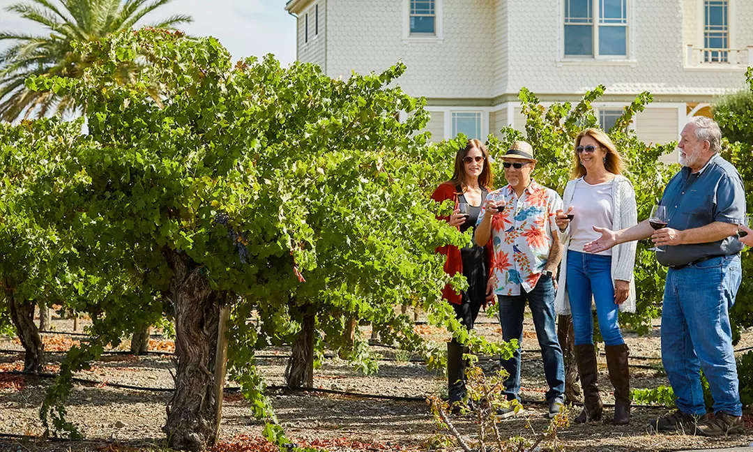 Wine Tasting w/ Chocolate Pairing for Two or Four w/ or w/o Bottle