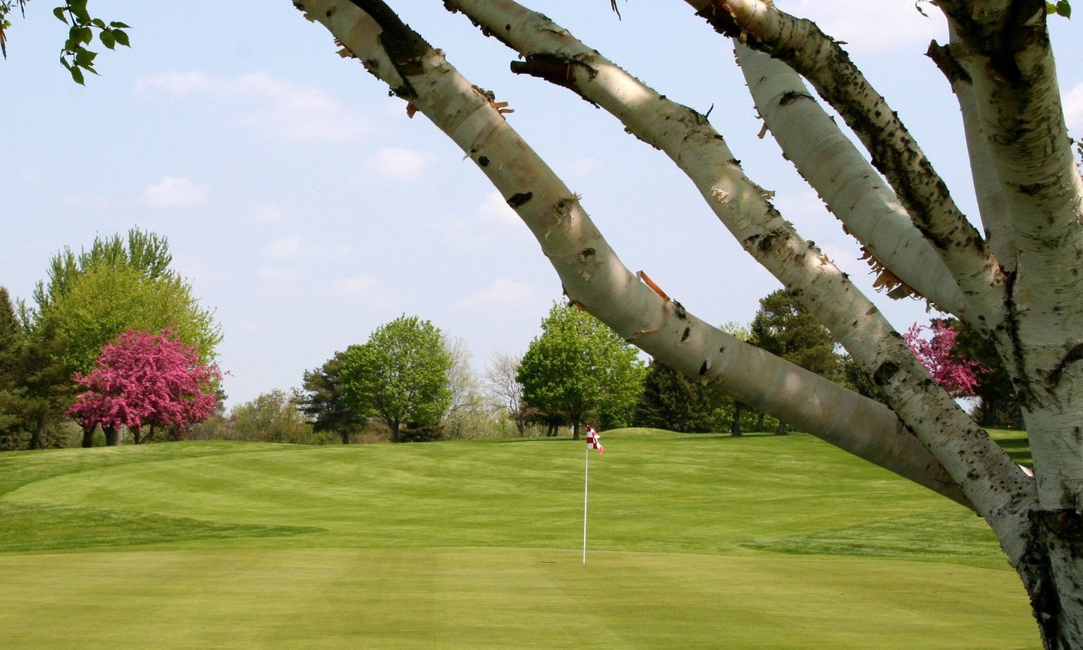 18-Hole Golf for Two or Four with Cart Rental or Range Membership