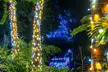 Experience the Magic of Zoo Lights at Palm Beach Zoo & Conservation Society - Second Medium