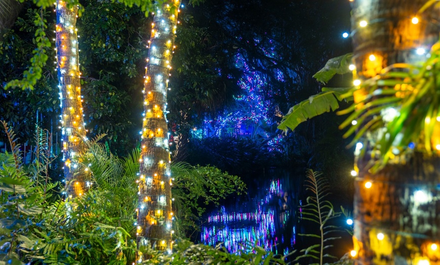 Image 5: Zoo Lights: A Dazzling Holiday Experience 
