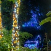 Image 5: Zoo Lights: A Dazzling Holiday Experience 
