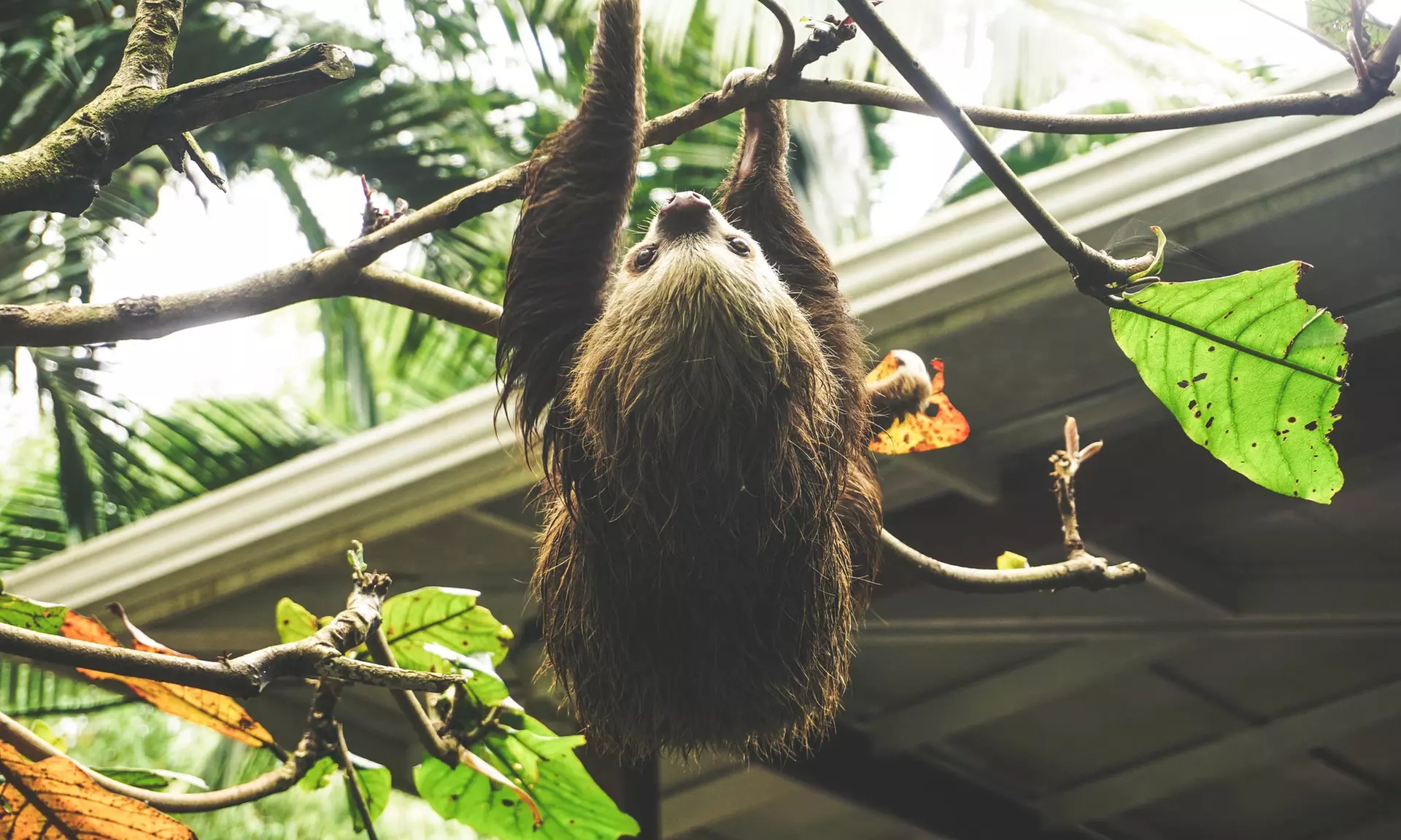 ✈ 12-Day Ultimate Costa Rica RoadTrip w/ Air, Hotel & Car from Worldee