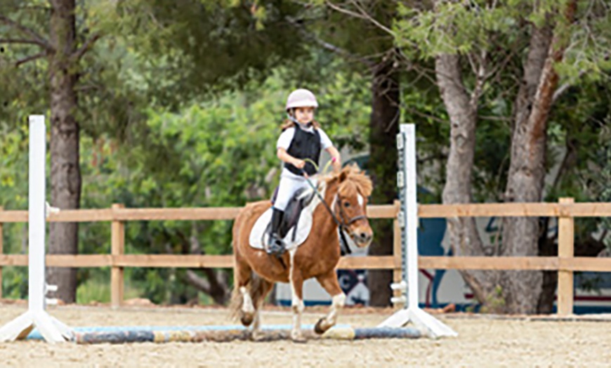 Image 4: 1 o 3 clases de equitación de todos los niveles para 1 persona