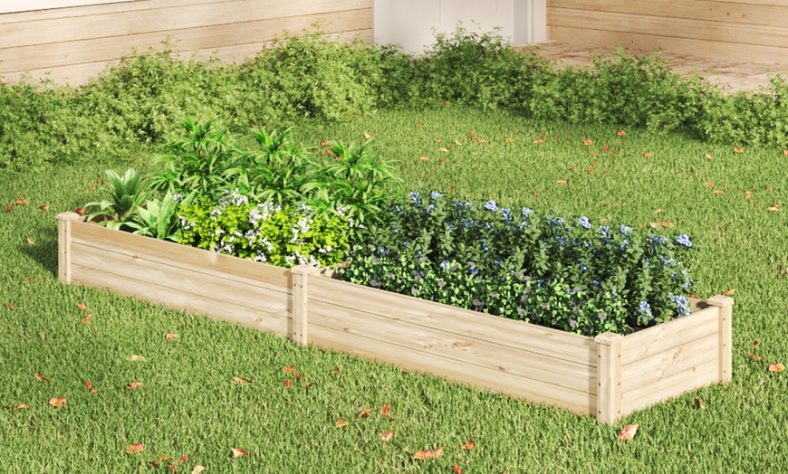 Image 4: Varnish-Coated Solid Wood Raised Garden Bed with Two Compartments