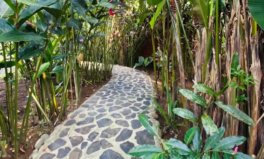 Image 3: ✈ 6-Nt Costa Rica Volcano and Beach Trip w/Air, Car from Travel by Jen