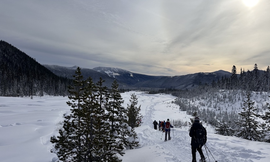 Image 11: Guided Snowshoeing in Mt St Helens or Mt. Hood for 4 Hours