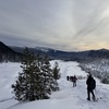 Image 11: Guided Snowshoeing in Mt St Helens or Mt. Hood for 4 Hours