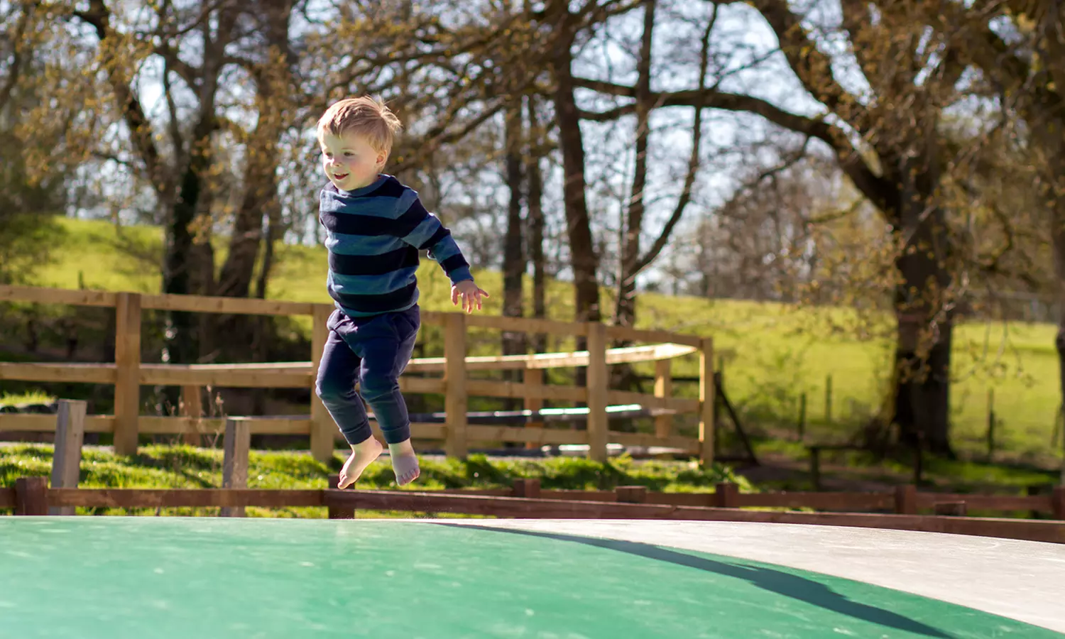 Enjoy A Sight of Red, Sika, Fallow & Axis Deers with Soft Play Tickets