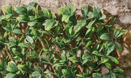 Groupon Unisex Green Expandable Artificial Hedge Trellis 1.2 Metres : Ivy /One