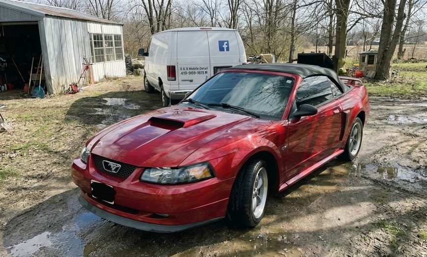 Image 5: Interior & Exterior Car Detailing