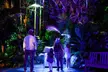 Explore Dazzling Light Displays at The Night Garden in Miami - Second Medium