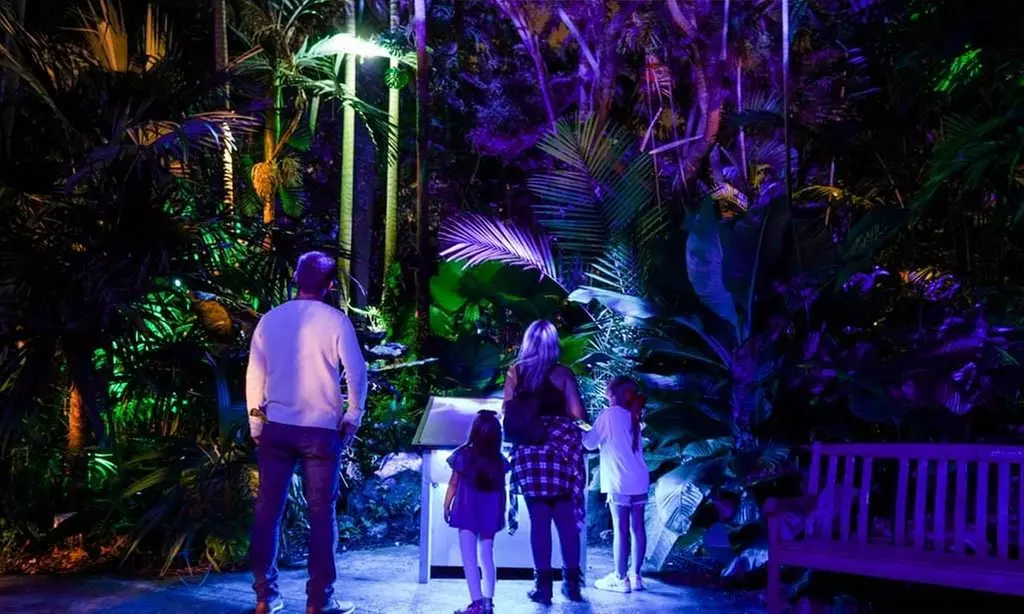 Explore Dazzling Light Displays at The Night Garden in Miami