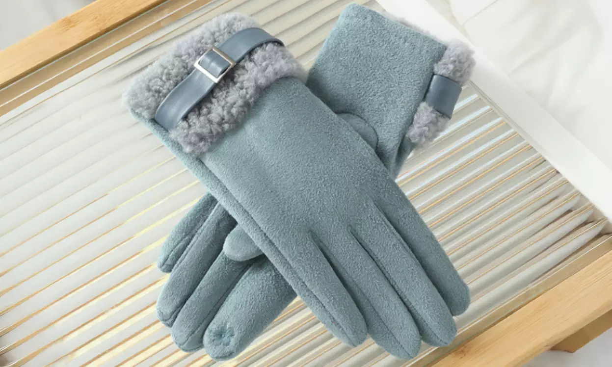 Women's Touch Screen Winter Warm Gloves