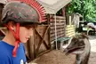 Petting Zoo and Pony Ride (Up to 28% Off) at Happi Farm - Second Medium