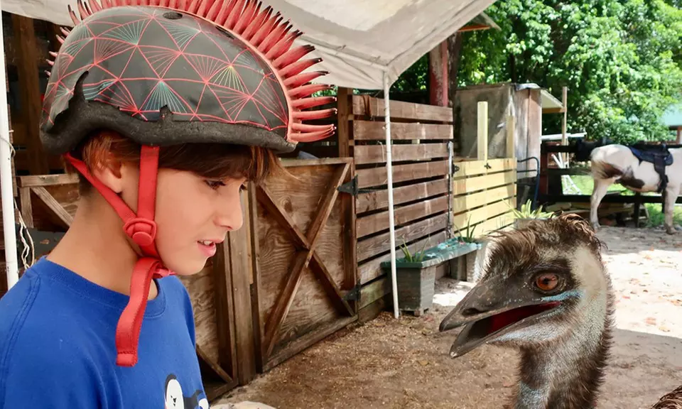 Zoo Entry with 5-Minute Pony Ride for Up to Four People